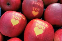 jabłko walentynki