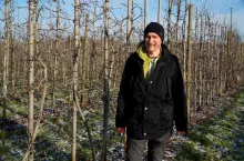 ciecie gali prowadzonej na dwa przewodniki