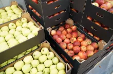 ceny jabłek w marketach