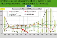 ceny jabłek w grudniu
