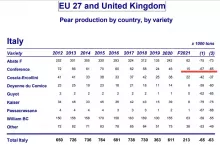 Produkcja gruszek we Włoszech. Źródło: WAPA Prognosfruit 2021