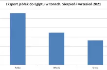 eksport do Egiptu