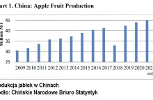 produkcja jabłek w Chinach
