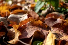 SSUCv3H4sIAAAAAAAACoxTTY/bIBC9V+p/iDg3arCNifsfuttLT6seMMzGKAQiPlpVq/z3DtikbLWteoP3Zt6bYYaX9+92OzKLoCX5tHvJN7xrY1KIXkTtLMKHDxvuwSrwLQJKR+e1MC04iygXKy6AoE3GZPhWSBKiiClAaMzCkmIEH6KTZ4T7u4o+Fey6uOiQoJWgXe+fM9DoShHhhIW8Uq5tPa33XSUKiRlIkQesxwPZtNeC0pyZL8KfA6n46vMXkRL68TFF5Zx/S+uzDhKMERZcajTXw7famDiBlT9zA7emNQ8GxPpkT2soOf/AB7uUVrcgkZR2TevfnRQmB/SN0tVrqe2pSXNxKfOsadIlG30ugVDOaifEOHcVs8nzfEZZqPgiQsAMVfF2ILhA7tJYWRdLD2RVJQonVnz6jo60nw507A7jNPCBtKuyaNQpFdUa09U4oSCb3kfx5xJRxuk4Ut7XbXprn0pMx1j3O+a+WoUbjrxbqTr9PM+LRqf/cO/G42HLfvUBMEarf3wA8pXyibF+ooyVVdkydfYksmMzx9faH6Wi++E48/08D7BnSvBpmDhAN2HW7RcAAAD//wMAntlpvtkDAAA=