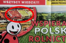 włoskie jabłka w polskim sklepie