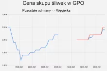 Średnie ceny skupu śliwek w grupach producentów owoców. Dane własne. Opracowanie własne.