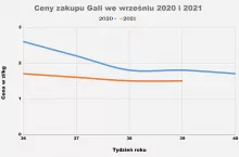 Ceny Gali we wrześniu 2020 i 2021. Dane własne. Opracowanie własne.