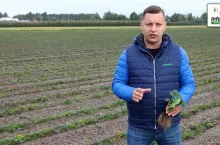 Tomasz Domański - Agrosimex