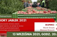 zbiory jabłęk 2021