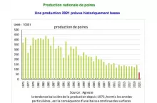 Produkcja jabłek we Francji / grafika agriculture.gouv.fr