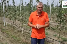 Robert Binkiewicz - Agrosimex