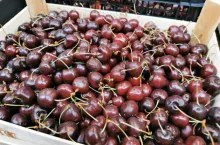 importowane czereśnie