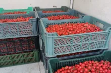 Summit na Broniszach