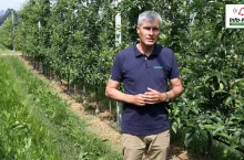 Robert Binkiewicz - Doradca Sadowniczy Agrosimex