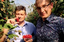 pierwsze polskie maliny