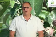 komunikat sadowniczy