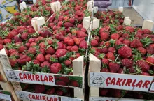 importowane truskawki