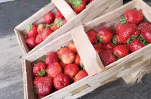 truskawki w łubiankach