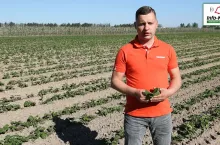 Tomasz Domański Agrosimex