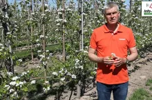 Robert Binkiewicz - Komunikat Agrosimex - Sad gruszowy