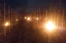 ochrona przed mrozem