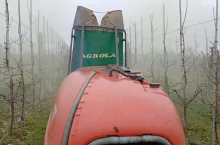 ochrona przed parchem