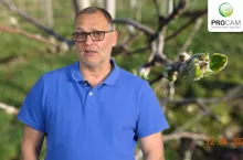 komunikat sadowniczy procam