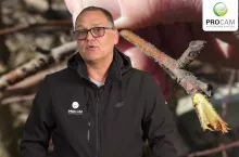 komunikat sadowniczy