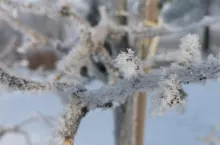 mroz prognoza pogody