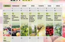 sadowniczy tydzień on-line