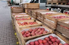 sprzedaż n rynkach hurtowych