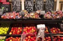 odmiany klubowe jabłoni