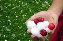 grad w nowej zelandii