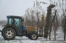 piła konturowa do cięcia sadu