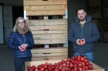 podsumowanie sezonu w sadach