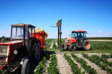 gospodarstwo sadownicze