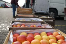 ceny jabłek na broniszach