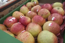 promocja w biedronce