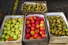 jabłka na rynkach hurtowych