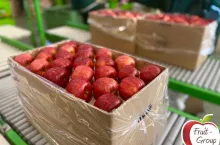 {”source_sid”:”0F61935F-B825-4770-86B8-7BA43E76884B_1606896743847”,”subsource”:”done_button”,”uid”:”0F61935F-B825-4770-86B8-7BA43E76884B_1606896743512”,”source”:”other”,”origin”:”gallery”}