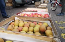 bronisze ceny jabłek