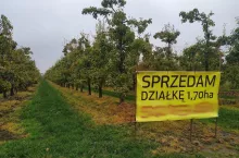 sprzedam gospodarstwo