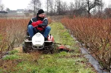 mechaniczne odchwaszczanie