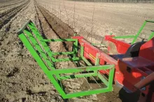 nasadzenia lobo i cortlanda