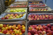 rynek hurtowy w gdańsku