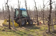 dziedziczenie gospodarstwa