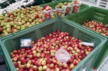 jabłka w markecie auchan