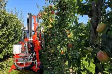 maszyna do usuwania liści z drzew w sadzie