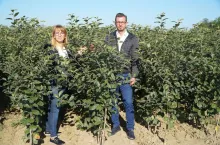 szkółka jankowski i syn