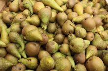 gruszki przemysłowe